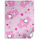 Cheer Bear Pink, Care, Care Bears, Cartoon Canvas 12  x 16 