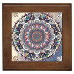 Pattern Nature Framed Tile