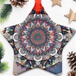 Pattern Nature Star Ornament (Two Sides)