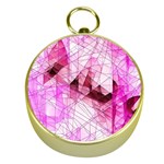 Pink Abstract Lineart Gold Compasses