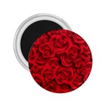 Red Roses , Red Buds, Red Roses 2.25  Magnets