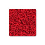 Red Roses , Red Buds, Red Roses Square Magnet