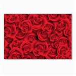 Red Roses , Red Buds, Red Roses Postcard 4 x 6  (Pkg of 10)