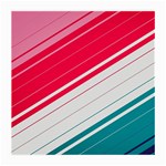 Red White Teal Stripes Medium Glasses Cloth