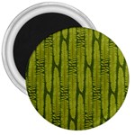 Fern Texture Nature Leaves 3  Magnets