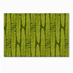 Fern Texture Nature Leaves Postcard 4 x 6  (Pkg of 10)