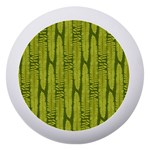 Fern Texture Nature Leaves Dento Box with Mirror