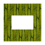 Fern Texture Nature Leaves White Box Photo Frame 4  x 6 