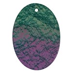 Colorful duotone abstract print Ornament (Oval)