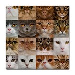 Breeds Of Cats Collage Tile Coaster