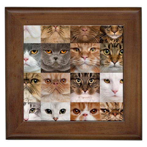 Breeds Of Cats Collage Framed Tile from ArtsNow.com Front