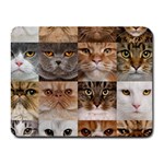 Breeds Of Cats Collage Small Mousepad