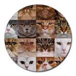 Breeds Of Cats Collage Round Mousepad