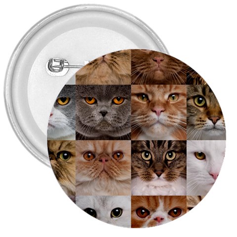 Breeds Of Cats Collage 3  Buttons from ArtsNow.com Front