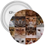 Breeds Of Cats Collage 3  Buttons