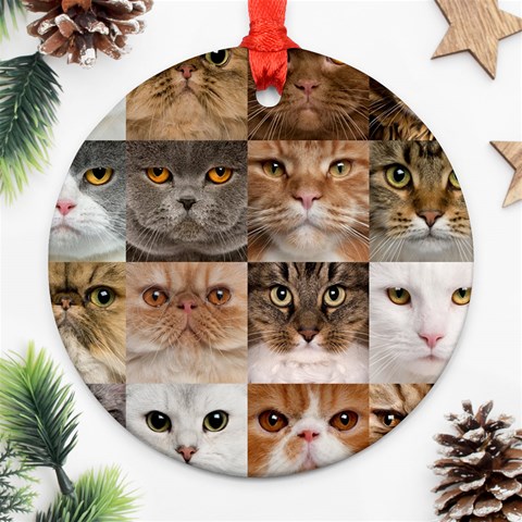 Breeds Of Cats Collage Ornament (Round) from ArtsNow.com Front