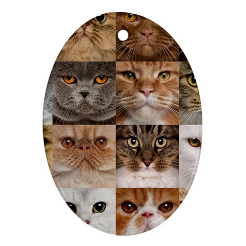 Breeds Of Cats Collage Ornament (Oval) from ArtsNow.com Front