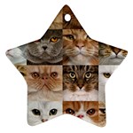 Breeds Of Cats Collage Ornament (Star)