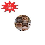 Breeds Of Cats Collage 1  Mini Magnet (10 pack) 