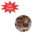 Breeds Of Cats Collage 1  Mini Buttons (100 pack) 