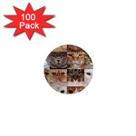 Breeds Of Cats Collage 1  Mini Magnets (100 pack) 