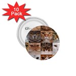 Breeds Of Cats Collage 1.75  Buttons (10 pack)