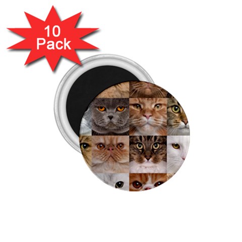 Breeds Of Cats Collage 1.75  Magnets (10 pack)  from ArtsNow.com Front