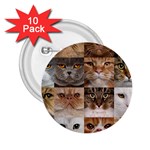 Breeds Of Cats Collage 2.25  Buttons (10 pack) 