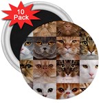 Breeds Of Cats Collage 3  Magnets (10 pack) 