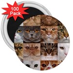 Breeds Of Cats Collage 3  Magnets (100 pack)