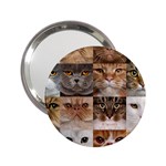 Breeds Of Cats Collage 2.25  Handbag Mirrors