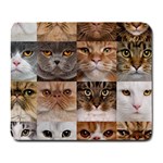 Breeds Of Cats Collage Large Mousepad