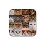 Breeds Of Cats Collage Rubber Coaster (Square)