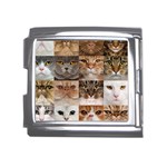 Breeds Of Cats Collage Mega Link Italian Charm (18mm)