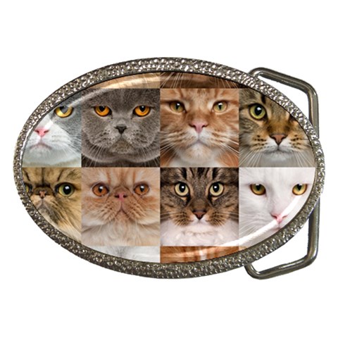 Breeds Of Cats Collage Belt Buckles from ArtsNow.com Front