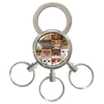 Breeds Of Cats Collage 3-Ring Key Chain