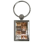 Breeds Of Cats Collage Key Chain (Rectangle)