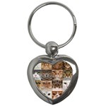 Breeds Of Cats Collage Key Chain (Heart)