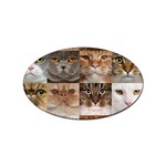 Breeds Of Cats Collage Sticker (Oval)