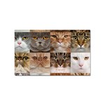 Breeds Of Cats Collage Sticker (Rectangular)