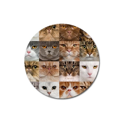 Breeds Of Cats Collage Magnet 3  (Round) from ArtsNow.com Front