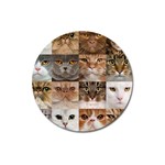 Breeds Of Cats Collage Magnet 3  (Round)