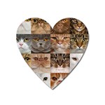 Breeds Of Cats Collage Heart Magnet