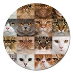 Breeds Of Cats Collage Magnet 5  (Round)