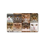 Breeds Of Cats Collage Magnet (Name Card)