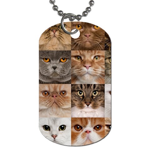 Breeds Of Cats Collage Dog Tag (One Side) from ArtsNow.com Front