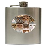 Breeds Of Cats Collage Hip Flask (6 oz)