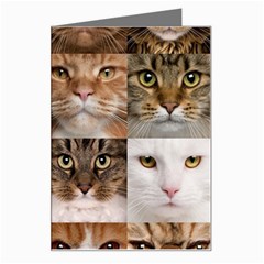 Breeds Of Cats Collage Greeting Card from ArtsNow.com Left