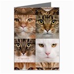 Breeds Of Cats Collage Greeting Card