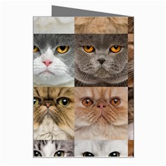 Breeds Of Cats Collage Greeting Card from ArtsNow.com Right